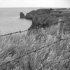 Barbed wire at the Pointe du Hoc